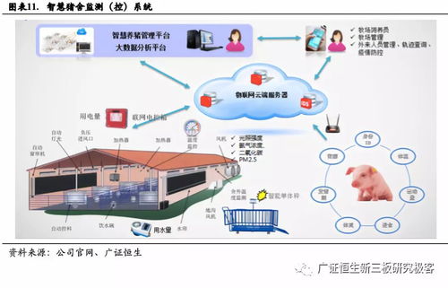 深耕物聯網嵌入式技術，利爾達（832149.OC）如何打造產業鏈一站式服務？
